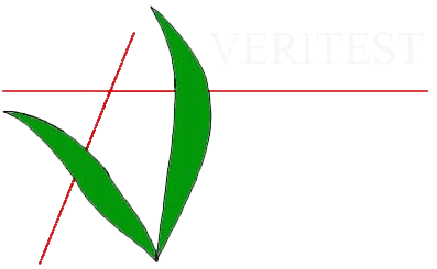 light logo